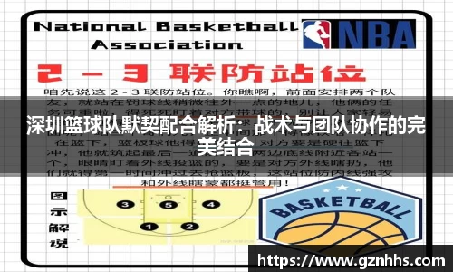 深圳篮球队默契配合解析：战术与团队协作的完美结合
